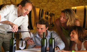 the-bordeaux-wine-tasting-tour