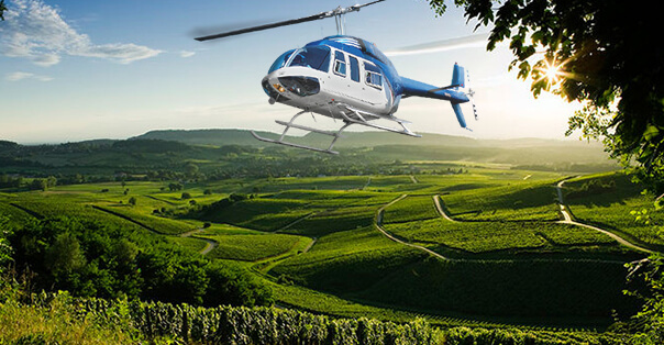 THE BORDEAUX WINE TOUR Header