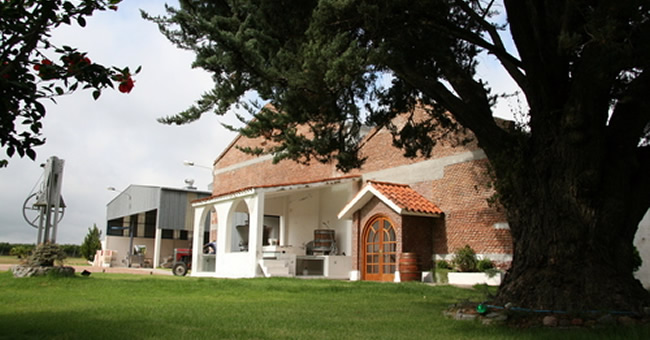 casa-filgueira-wine-top