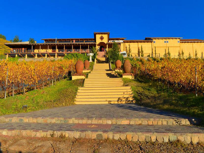 santa-cruz-the bordeaux winery tour