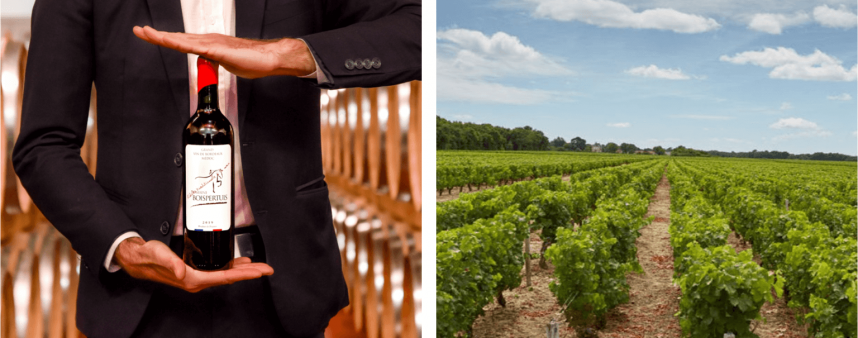 Bordeaux Domaine Boispertuis Wine